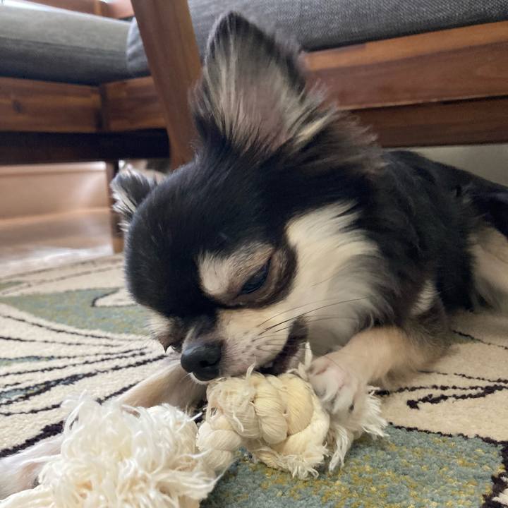 3ce69e87 6513 466f a815 067a0ab62b9f 1629602934737