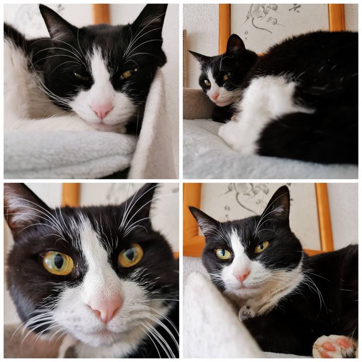 3ce6a117 3460 4e2e 838b d5434c534c7c 1642309039669