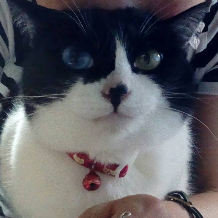 3ce6bf76 3b48 414c 9202 66d51a4505f3 1526375172210