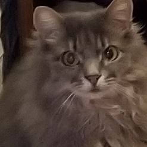 3ce6c3d6 2601 4e86 8a77 57c846024b91 1593985008177