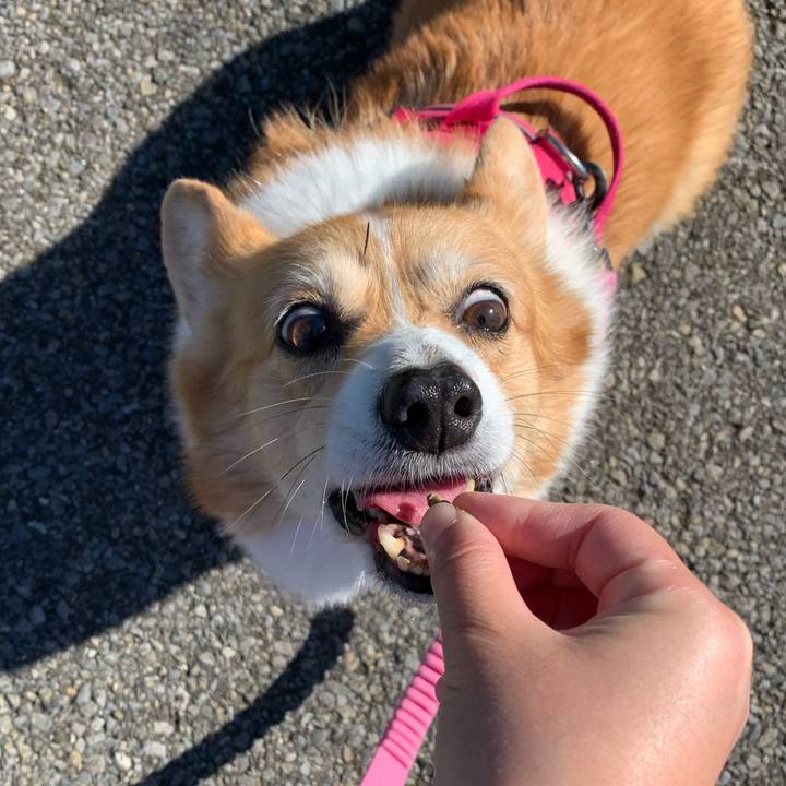 3ce6d3ec b2ee 4ae2 b3a9 41f6e6638acf 1700365759820