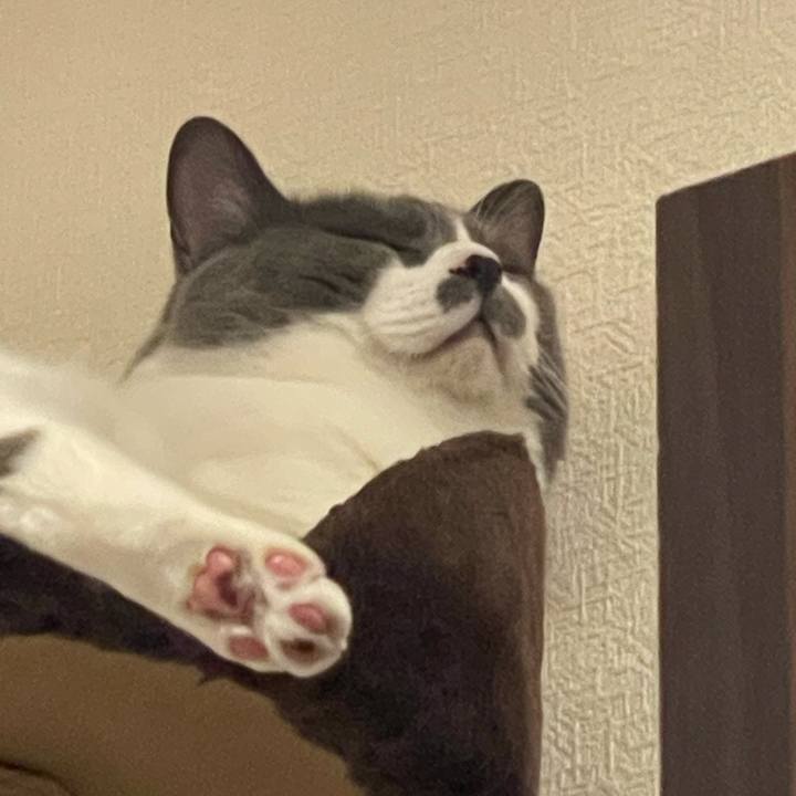 3ce6f584 a35f 4d4f b854 59735d21af6f 1752234982464