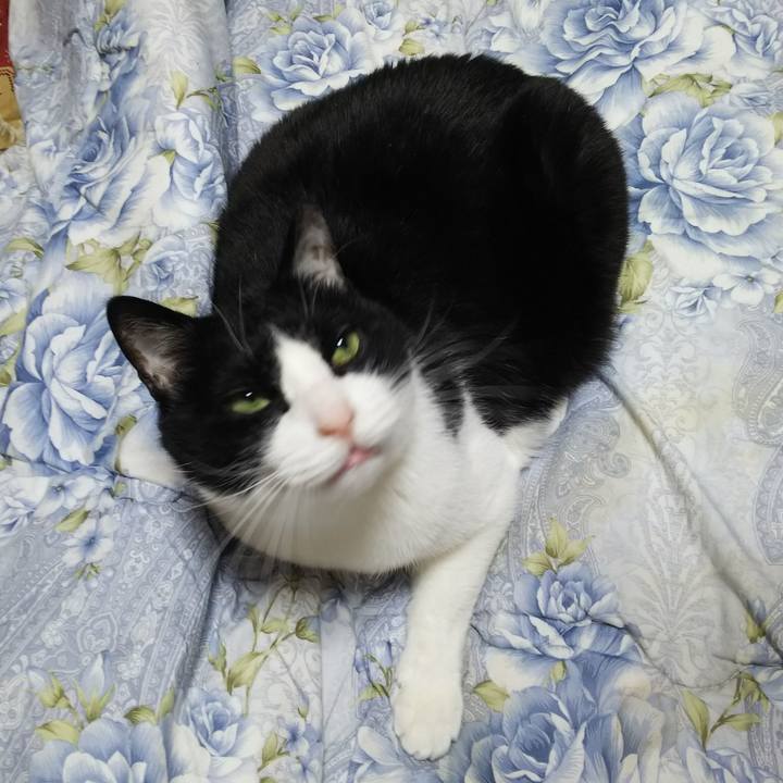 3ce6f91b dc22 4047 aaab 265582643b58 1550525877271