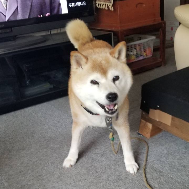 3ce6ff13 6714 4dd9 abac 8e8cf717e75d 1719975099629