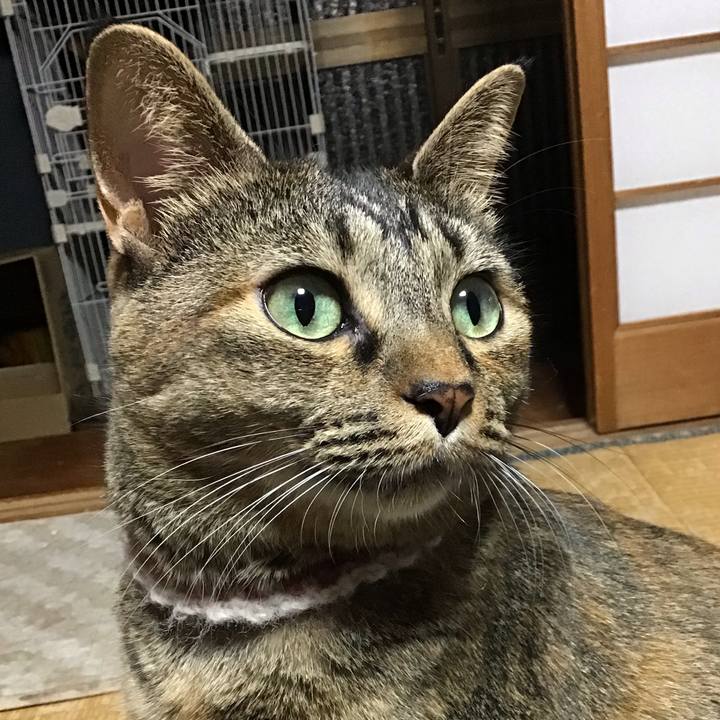 3ce74ca8 38f0 4c8b a277 d444c68104cd 1666784352890