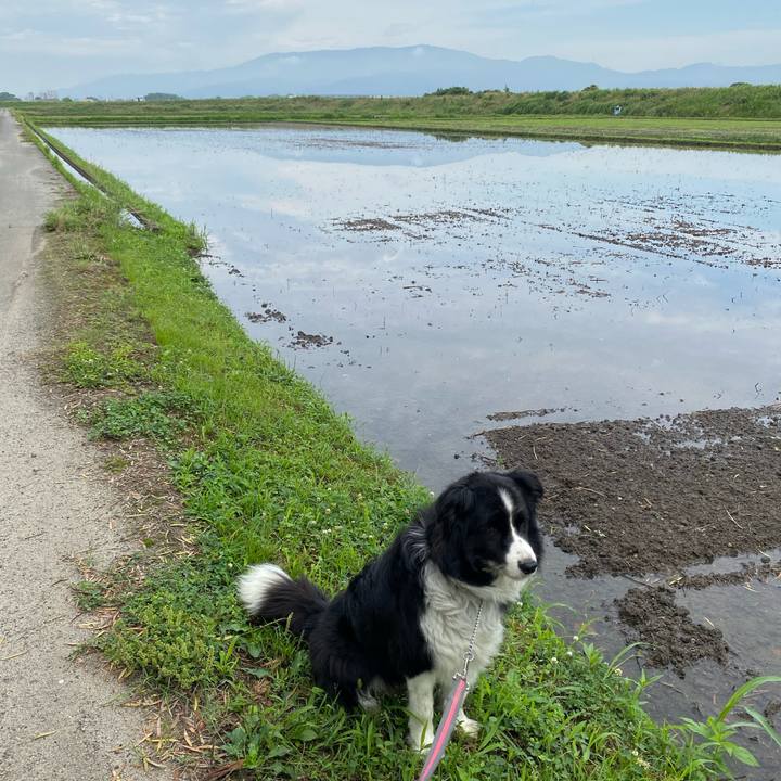 3ce75b33 f7a3 4905 8194 4fb044101b9e 1592265422346