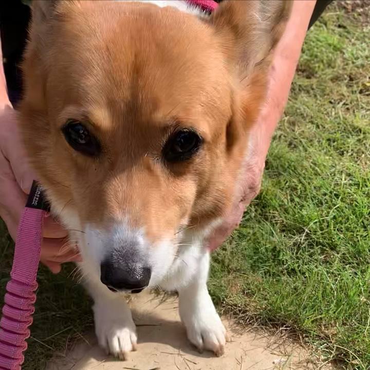 3ce770a6 c6bc 4701 9291 f148aa85ac1f 1665462877663