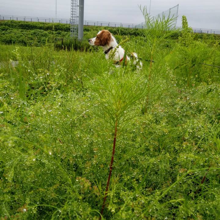 3ce77ea1 d62b 4aba b5f4 3bc5d614b89e 1529800301954