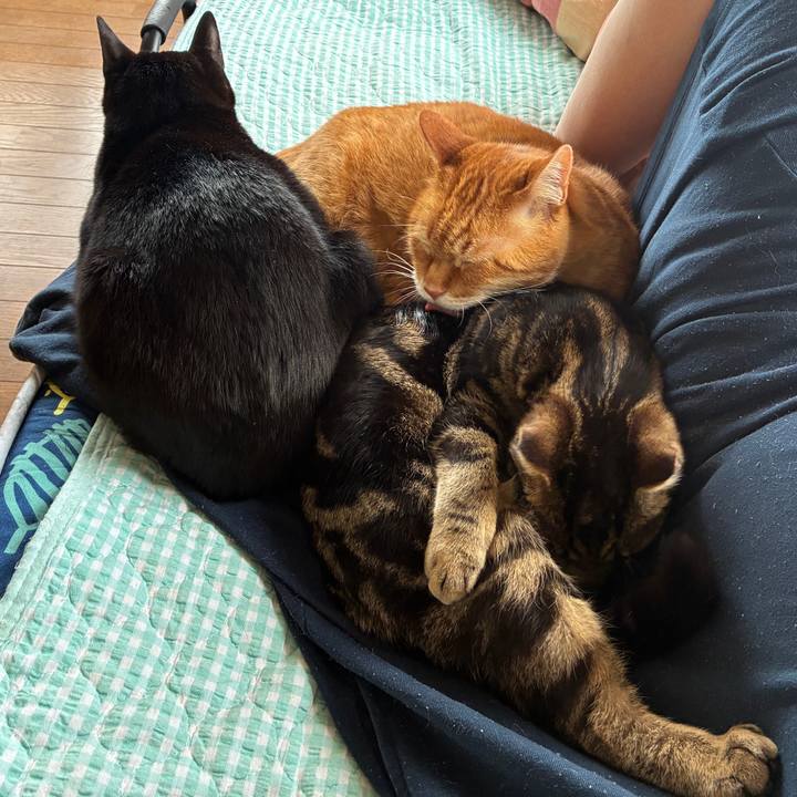 3ce78b0f 484e 4eec a54c c241ee89ae98 1746511801139