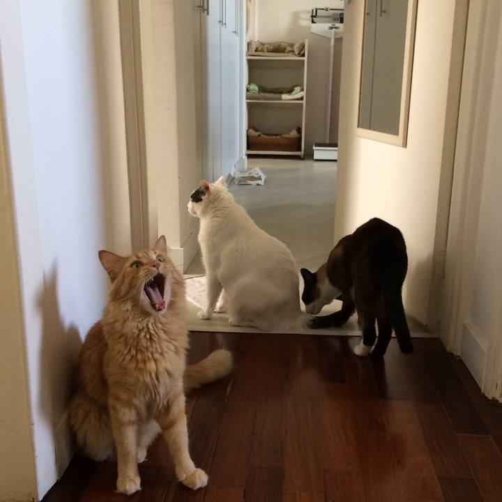 3ce79650 278e 4aee a5b1 a5cc6579e239 1514332050038