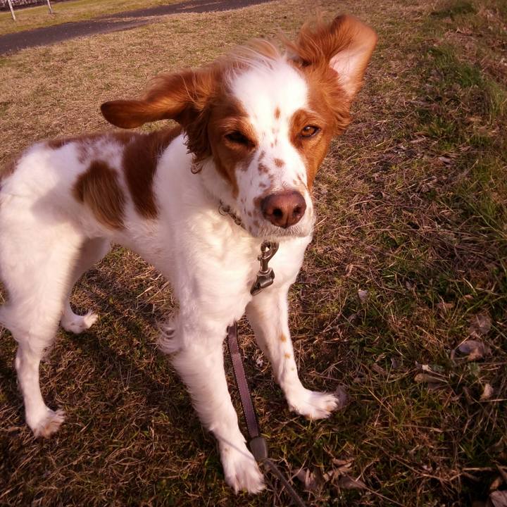 3ce7967b 684c 49c3 a37c 94897db6ee45 1515484268905