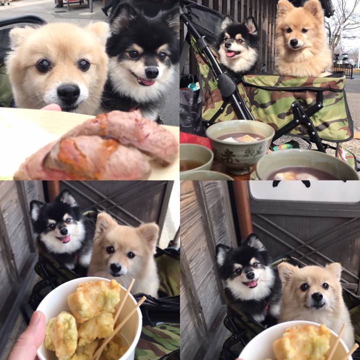 3ce7a876 bbd1 4ea6 8292 ec3339a89f39 1610114493361