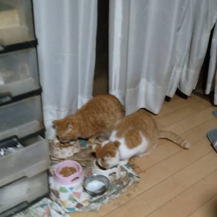 3ce7ad32 caee 4f08 94ef 59183ec4aa3a 1766792668725