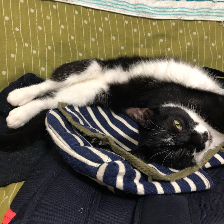 3ce7b707 b137 493a b0ca 7f71c7be0ced 1535983919969