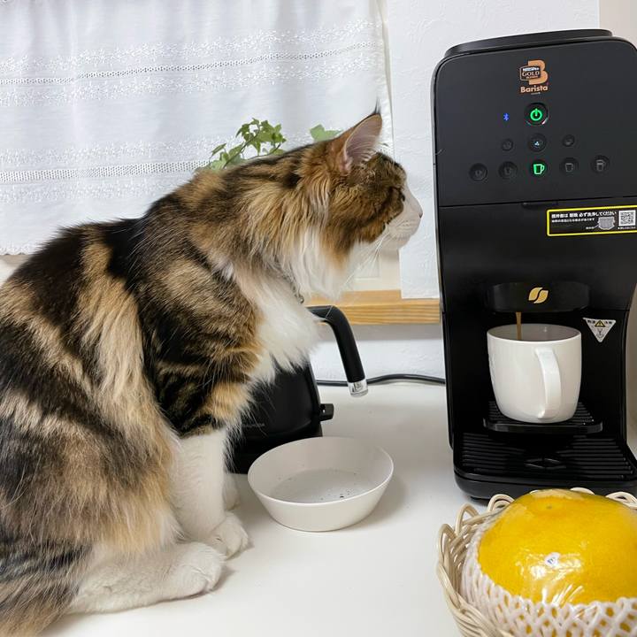 3ce7e8f3 bbec 4c6c 86fe acf6f1e8e4d0 1644095995418