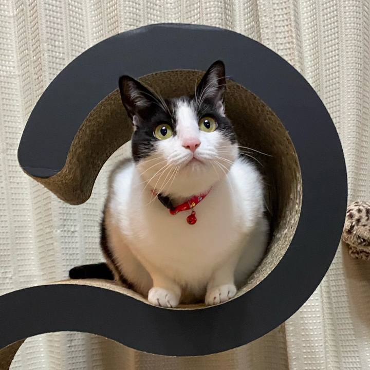 3ce801e9 cf72 4bc6 a11a 64389b497a12 1634461908137