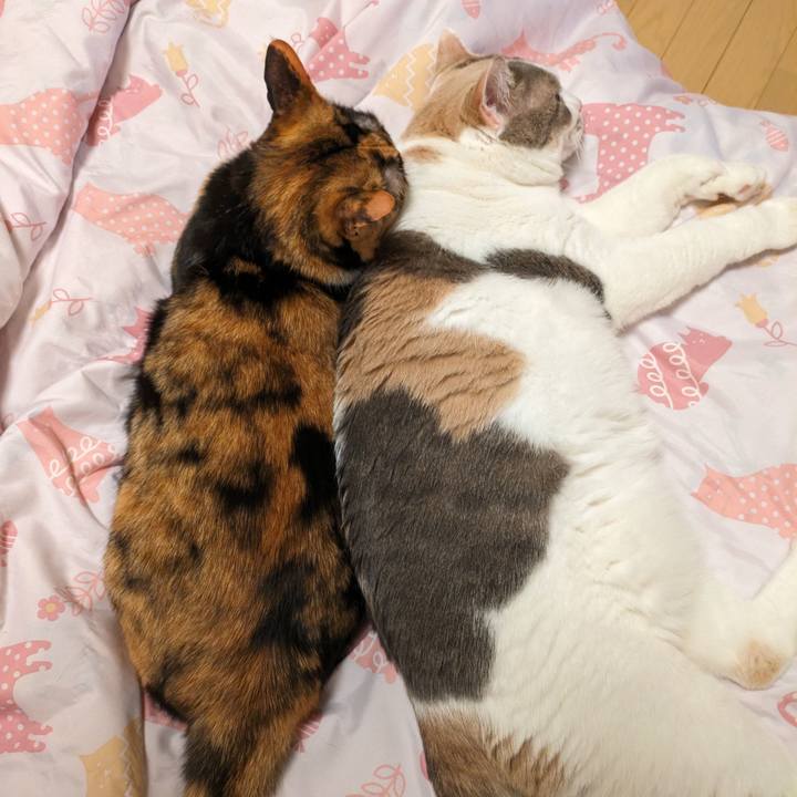 3ce804d6 249a 45e7 9d48 45dfbbe25b44 1746180824972