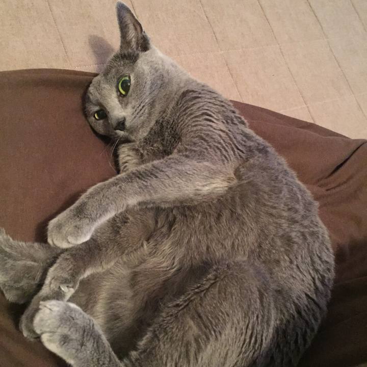 3ce823c9 644b 4135 b6b7 46741e484242 1542842074158