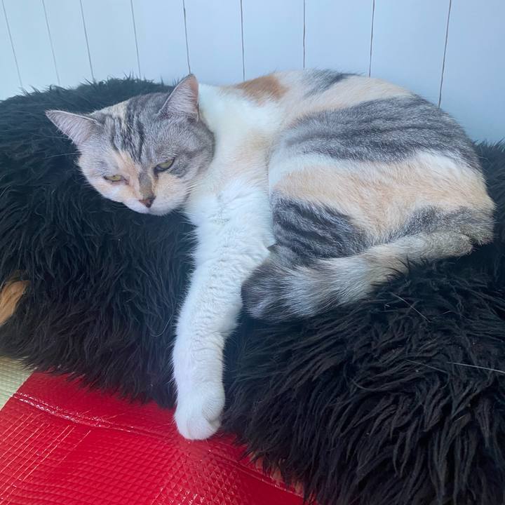 3ce8476b b6fb 4b2f b36f c1e68d322adb 1664072476210