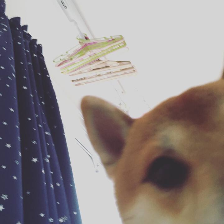 3ce84774 6b75 45cd ac18 6309bd911132 1508973395063