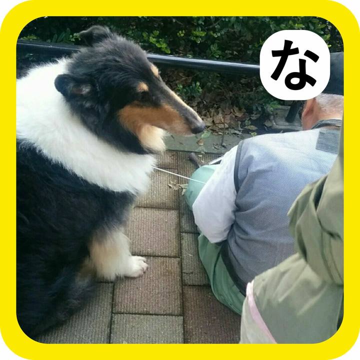 3ce84f48 4f75 4315 b10b 9d24e17d1a88 1515066241129