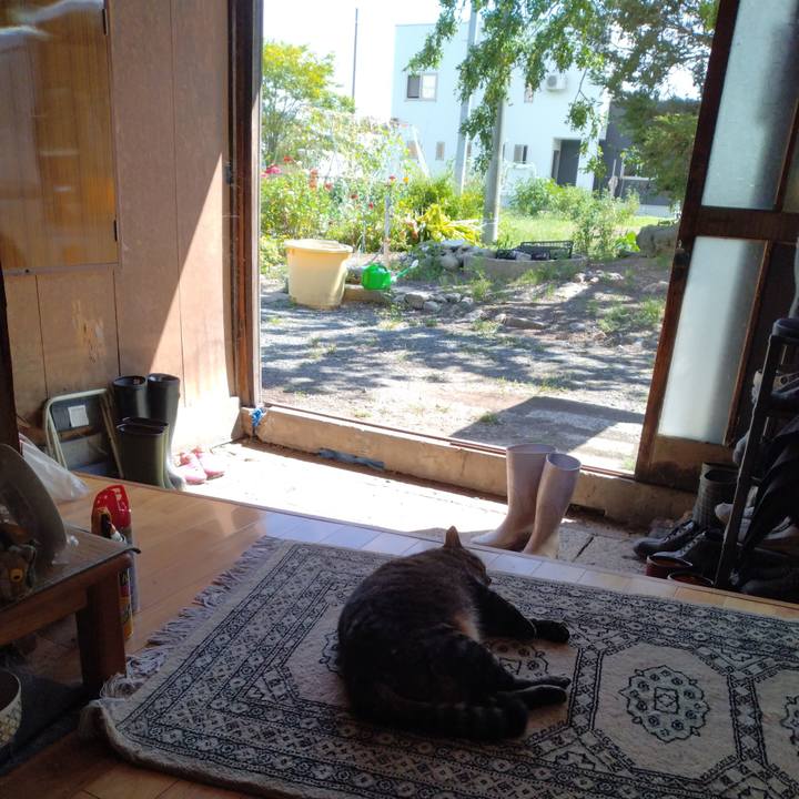 3ce85bb0 0cde 478c 9922 e8731af7c8d9 1694236742952