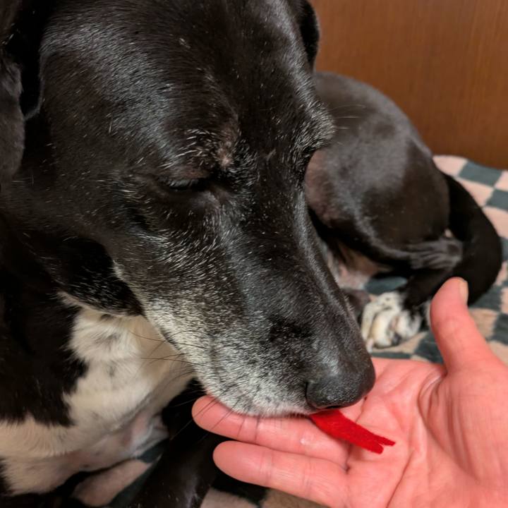 3ce8a17a c5b5 4192 990f 481555ce8b61 1735681691702