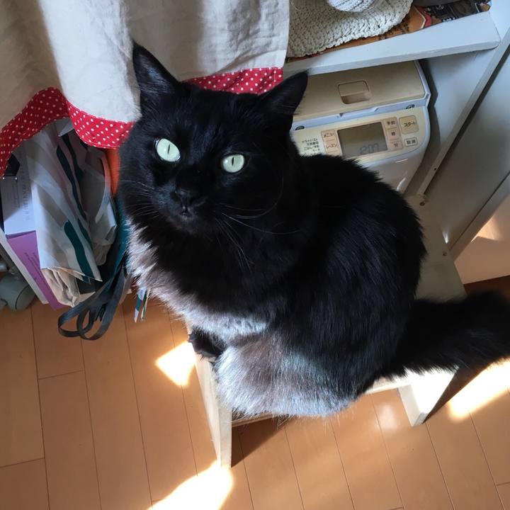 3ce8aa79 efd8 4f12 b3b7 ea6edb75df10 1520760348539