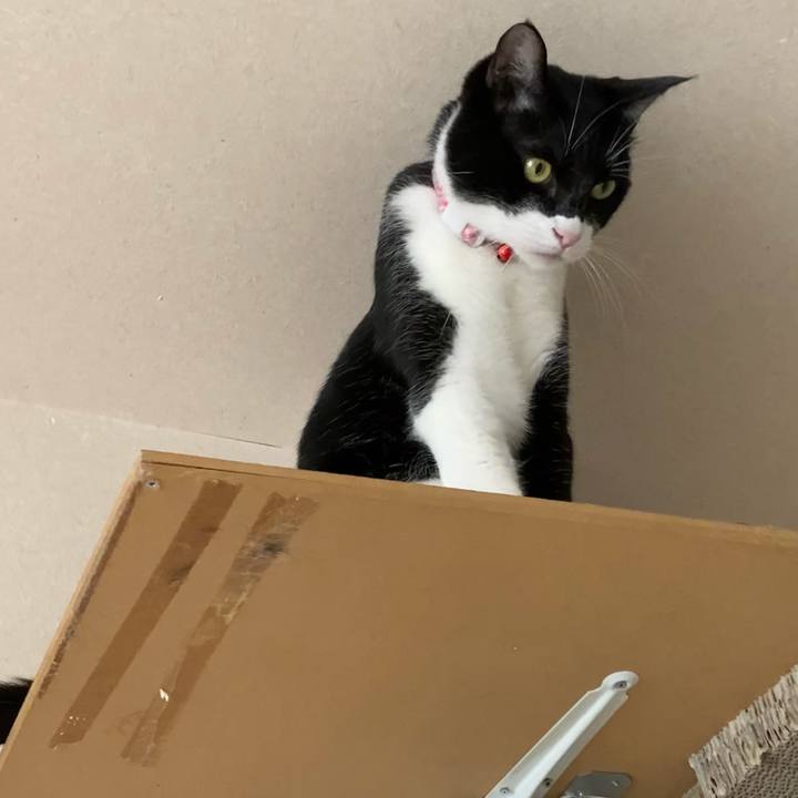 3ce8ce01 1257 46e5 acbb 27c2149d6503 1621130720217