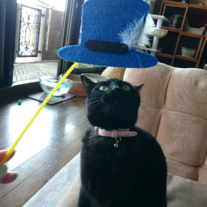 3ce90e21 cd1a 46b7 ba6f 02b9ec6c63e3 1525870544590