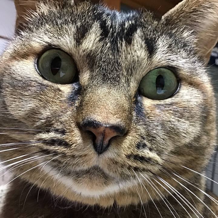 3ce92ef7 fe11 43f3 8d90 f60c8f5a6136 1733907345723