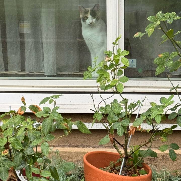 3ce93b44 7da8 4f1d 8c56 682f59596f3d 1752202007774