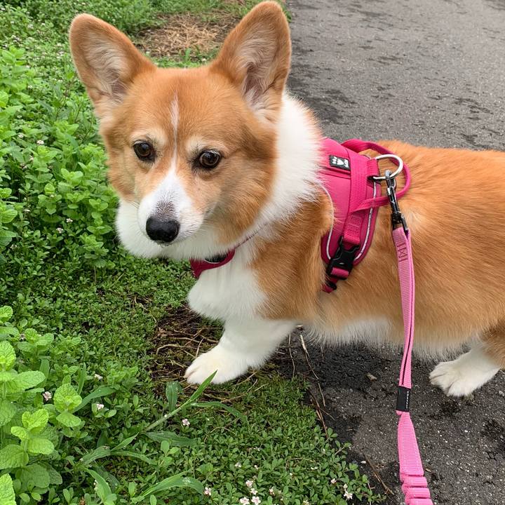 3ce943f4 69b5 4a18 b8bb 7d70b3a13530 1721110079888