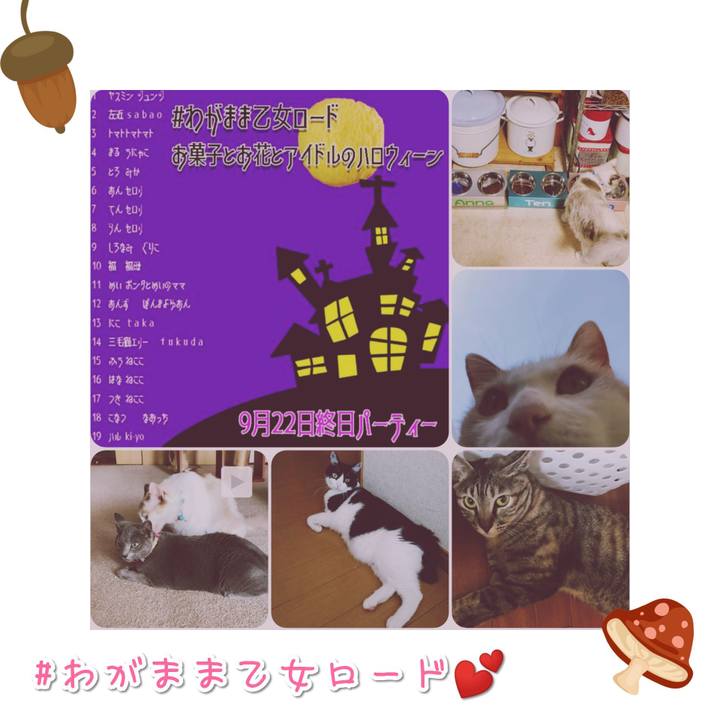 3ce9b5e1 6c25 49d8 a4d6 d862963c6028 1567856690732