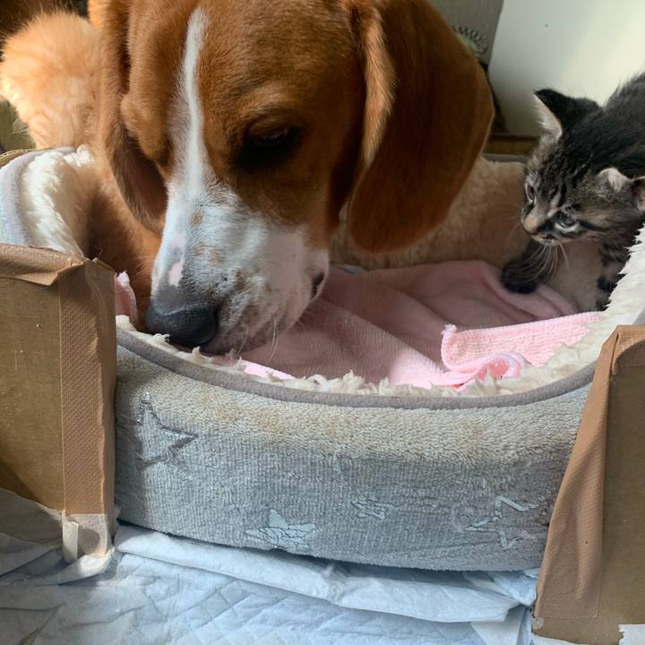 3ce9de62 0823 41ef 8bf2 12091a56467f 1571148817636