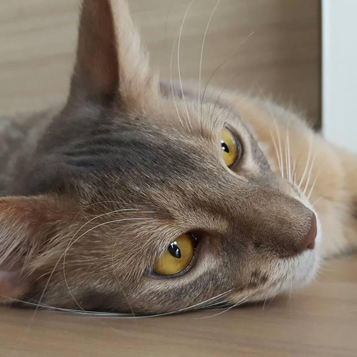 3ce9e4a4 d1e8 486a 9e18 43d262df8f19 1569630998025