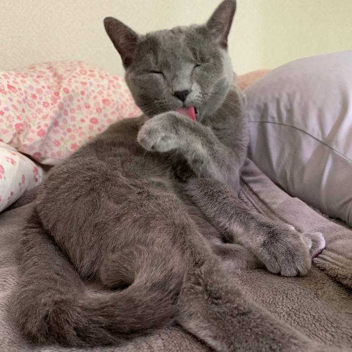 3cea023c 626e 452d a9b9 39d279c9086c 1651106173108