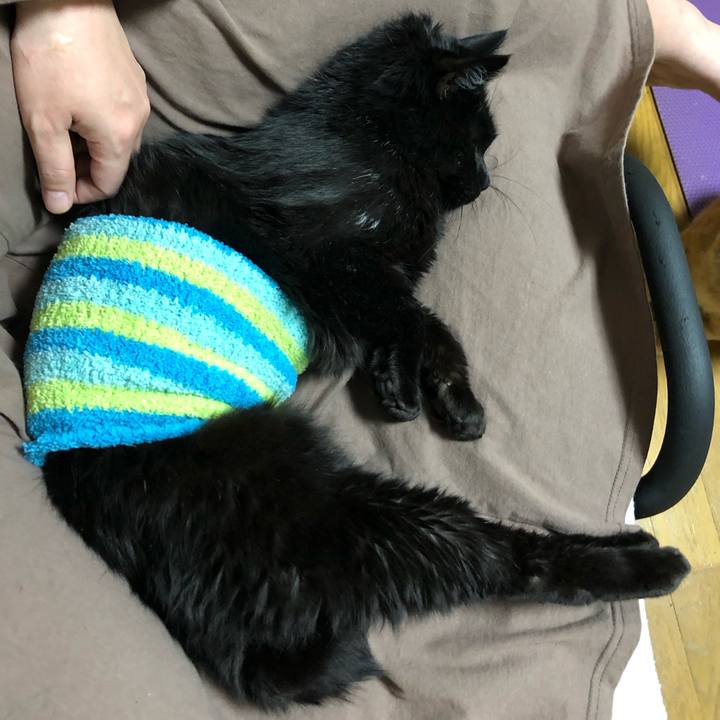 3cea12a1 2d48 4725 8eae 79950e1601ca 1608370733121