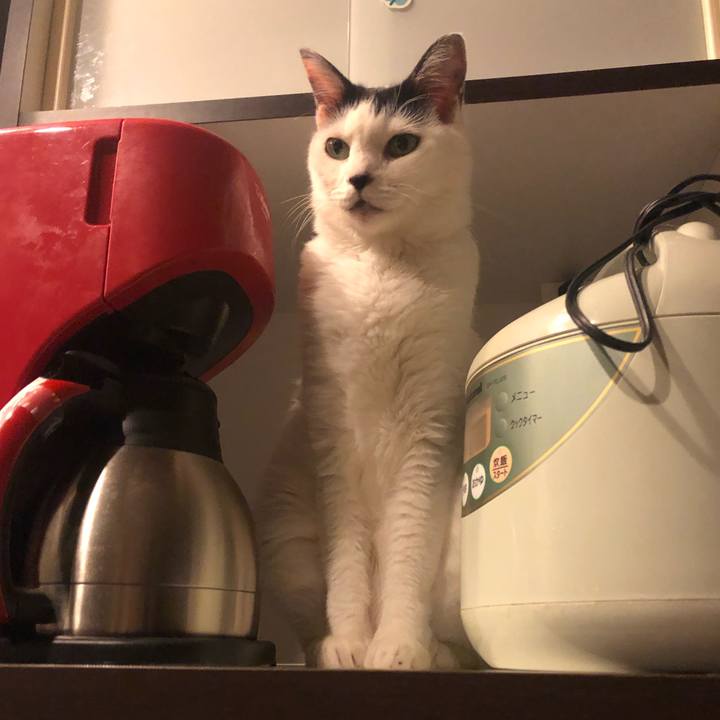 3cea2538 8e1e 4ec6 98c0 97baa4fbbc23 1601218257839