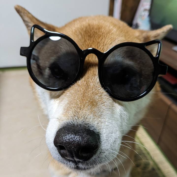 3cea8d64 eea4 4717 853e 6e0e0b06b36e 1711403868816