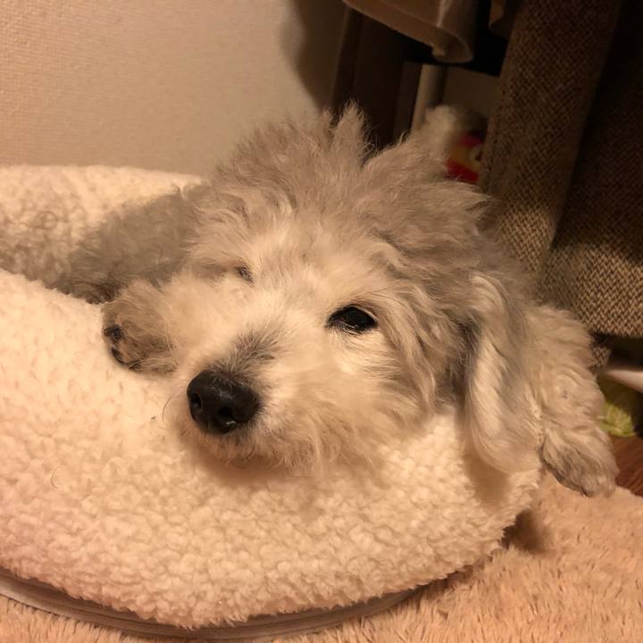 3cea9128 a8de 4f63 a60b 66789043206e 1582113170087