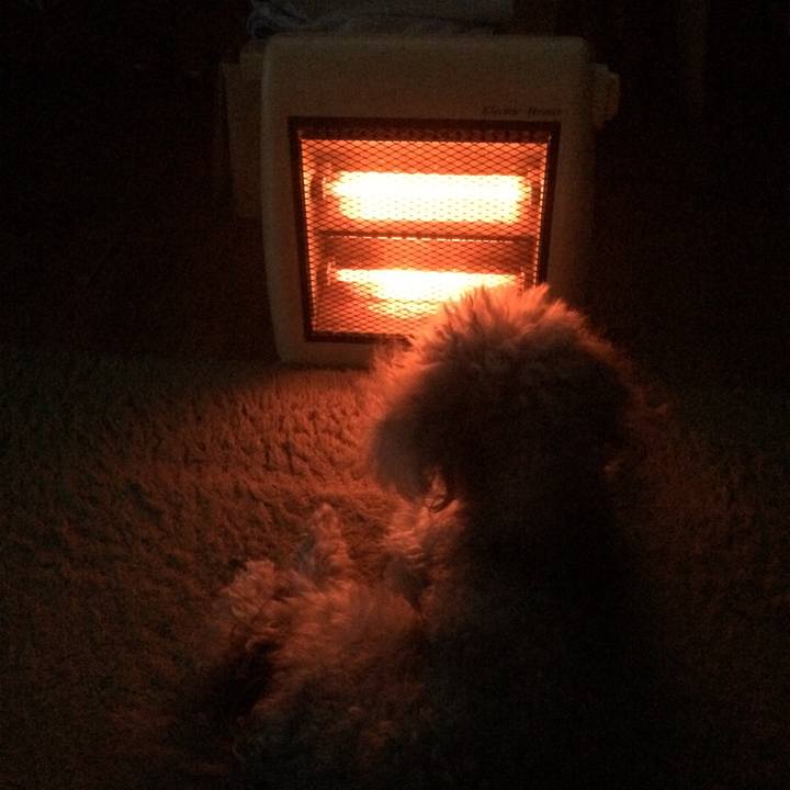 3ceac8a6 a9a8 4d55 9f3b 164ed8bb037d 1514502310467