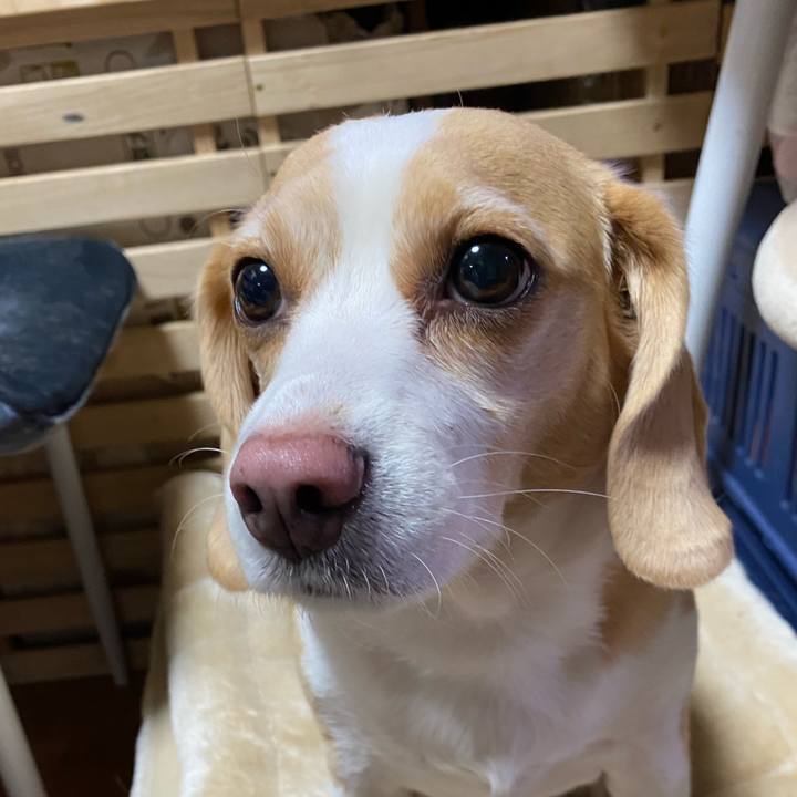 3ceb0340 6f26 43b9 9701 c01334551911 1647520478858