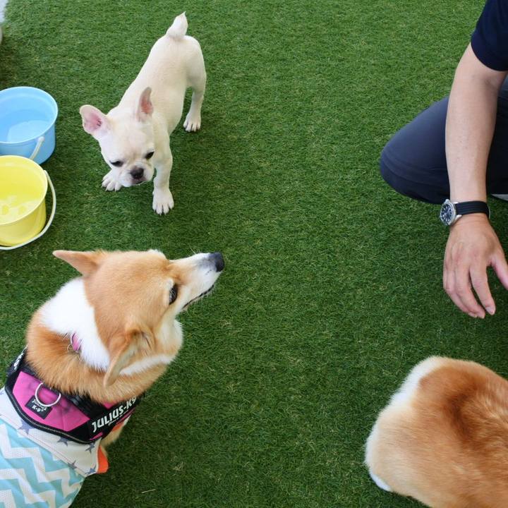 3ceb237f 6d4a 4e09 a589 3abffe06fe56 1687617425305