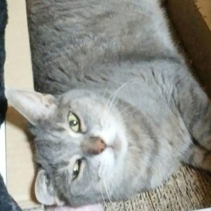 3ceb37fc 6474 4acd 90c9 9e851bf93abc 1564143178920