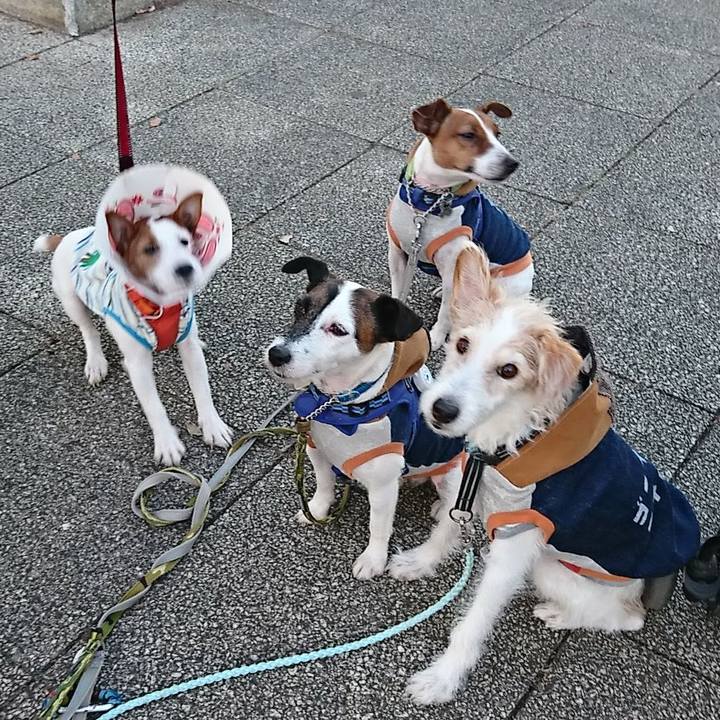 3ceb50be 9fc5 46d6 900d b6a06c6d54f9 1575450826883