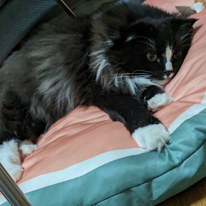 3ceb6c86 639d 45a7 8d9c 484f5712aecd 1691884715399