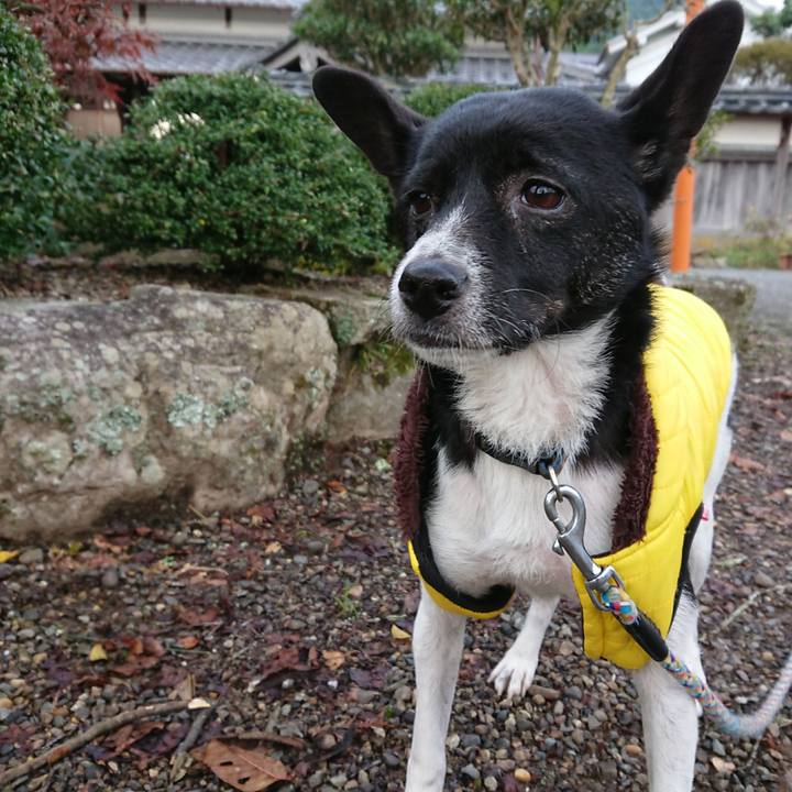 3ceb9ff0 140a 47c3 b5a8 b59310c65032 1509407527040