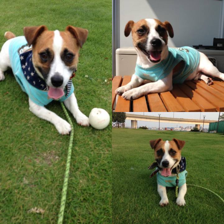 3ceba792 05cc 4a53 80ea 8e2cd6cd737b 1659867379739