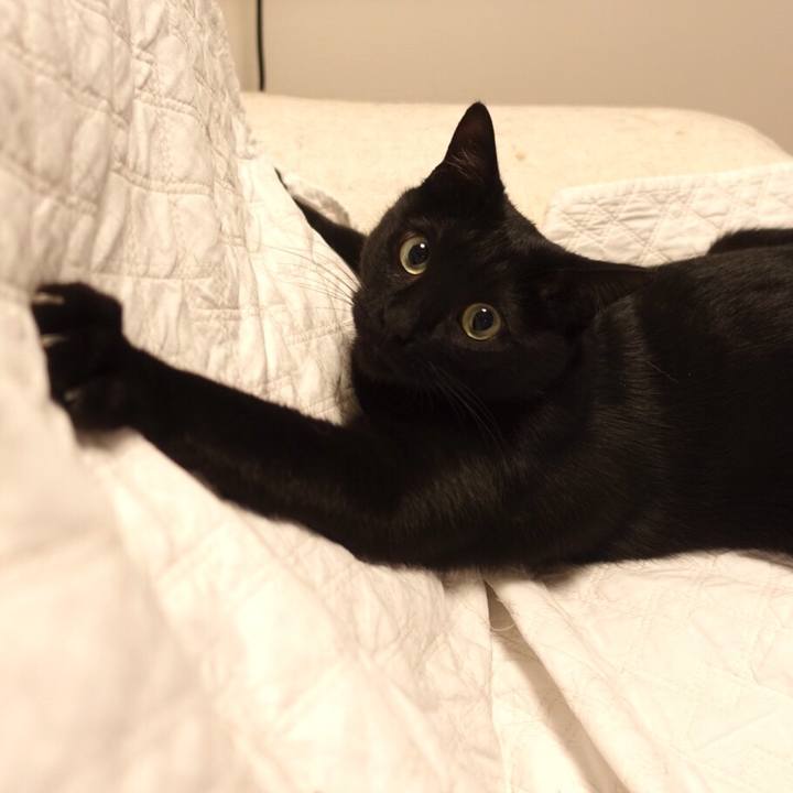 3cebaeb9 1301 4f1c 9f99 0cee044b4b12 1533901848061